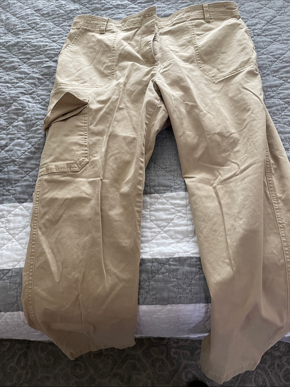 Talbots Cargo Pants in Beige Tan